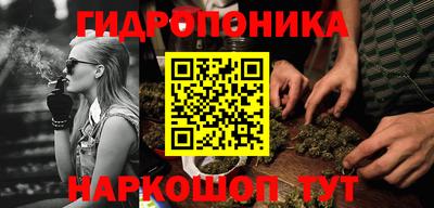 мяу мяу мука Будённовск